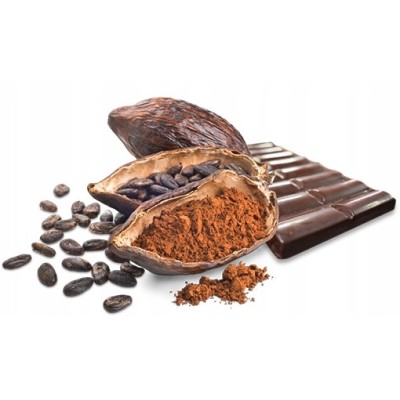 Czekolada Gorzka 70% Słodzona Cukrem Kokosowym Bezglutenowa BIO 100 g