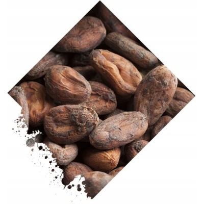Czekolada Gorzka 70% Słodzona Cukrem Kokosowym Bezglutenowa BIO 100 g
